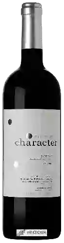 Wijnmakerij Wine & Soul - Douro Pintas Character Tinto