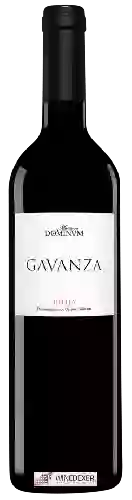 Wijnmakerij Maetierra Dominum - Gavanza Crianza