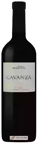 Wijnmakerij Maetierra Dominum - Gavanza Reserva