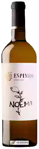 Wijnmakerij Quinta do Espinho - Noémi Branco