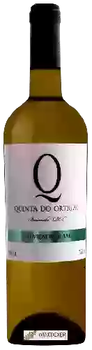 Wijnmakerij Quinta do Ortigao - Sauvignon Blanc