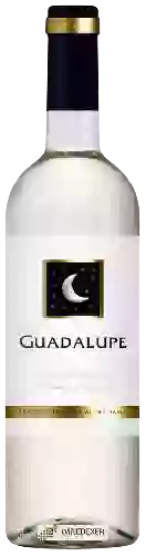 Wijnmakerij Quinta do Quetzal - Guadalupe Branco