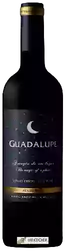 Wijnmakerij Quinta do Quetzal - Guadalupe Tinto