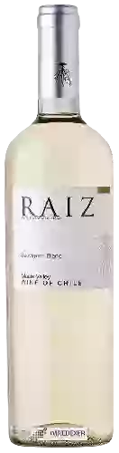 Wijnmakerij Raiz - Sauvignon Blanc