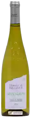 Wijnmakerij Raphael Midoir - Domaine de Bellevue Sauvignon Touraine