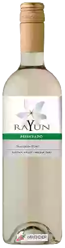Wijnmakerij Rayun - Sauvignon Blanc Reservado