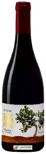 Wijnmakerij Recanati - Reserve Petite Sirah