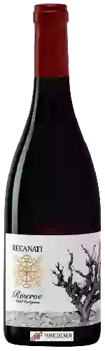 Wijnmakerij Recanati - Wild Carignan Reserve