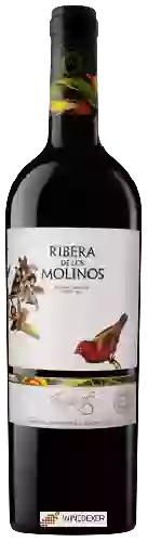 Wijnmakerij Ribera de Los Molinos - Tempranillo