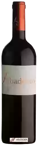 Wijnmakerij Ribera de Pelazas - Abadengo Reserva