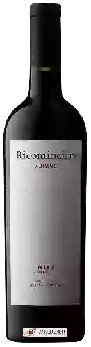 Wijnmakerij Ricominciare - Altísimo Malbec