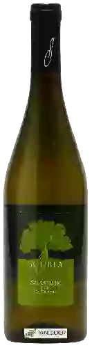 Wijnmakerij Roberto Scubla - Sauvignon Blanc