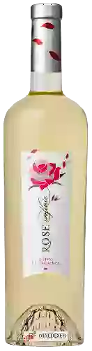 Wijnmakerij Rose Infinie - Côtes de Provence Blanc