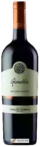 Wijnmakerij Tenute Rubino - Giancòla Malvasia Bianca