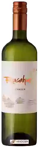 Wijnmakerij Rucahue Family Vineyard - Chardonnay