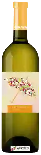 Wijnmakerij Ruda - Casual Airén
