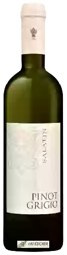 Wijnmakerij Salatin - Pinot Grigio