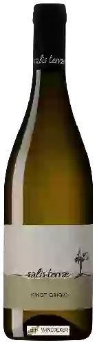 Wijnmakerij Salis Terrae - Pinot Grigio