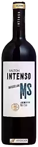 Wijnmakerij Salton - Intenso Marselan