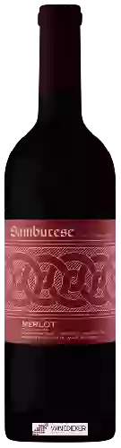 Wijnmakerij Sambucese - Merlot