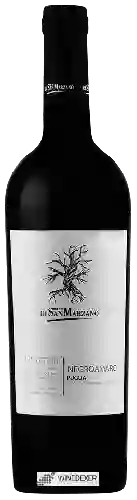 Wijnmakerij San Marzano - I Tratturi Negroamaro