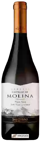 Wijnmakerij San Pedro - Castillo de Molina Pinot Noir (Reserva)