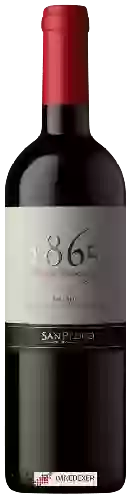 Wijnmakerij San Pedro - 1865 Selected Vineyards Valle de Uco Malbec