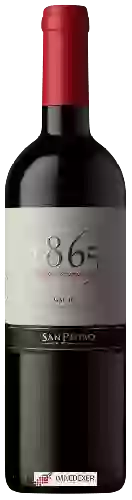 Wijnmakerij San Pedro - 1865 Selected Vineyards Valle del Maule Malbec