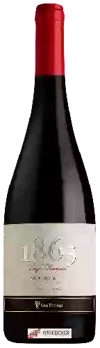 Wijnmakerij San Pedro - 1865 Single Vineyard Pinot Noir