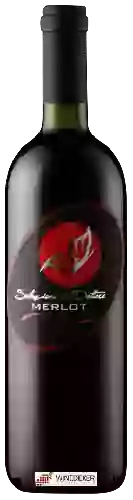 Wijnmakerij San Simone - Selezione del Dottore Merlot