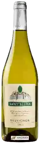 Wijnmakerij Sant'Elena - Sauvignon Blanc