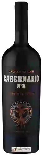 Wijnmakerij Santa Rita - Cabernario No 8 Single Vineyard Cabernet Sauvignon