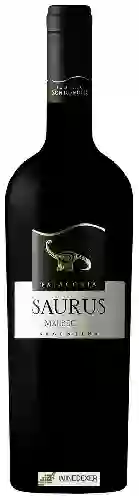 Wijnmakerij Schroeder - Saurus Malbec