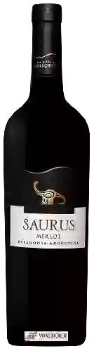 Wijnmakerij Schroeder - Saurus Merlot