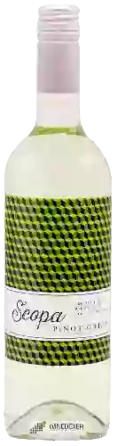 Wijnmakerij Scopa - Pinot Grigio