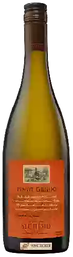 Wijnmakerij Seghesio - Pinot Grigio