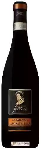 Wijnmakerij Selezione Fellini - Amarone della Valpolicella Classico