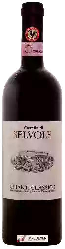 Wijnmakerij Castello di Selvole - Chianti Classico