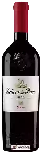 Wijnmakerij Señorio de Villarrica - Delicia de Baco Crianza