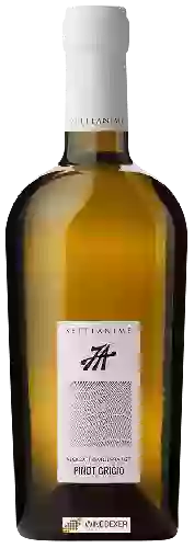 Wijnmakerij Setteanime - Pinot Grigio