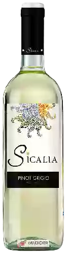 Wijnmakerij Sicalia - Pinot Grigio