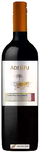 Wijnmakerij Siegel - Adentu Cabernet Sauvignon
