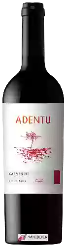 Wijnmakerij Siegel - Adentu Carmenère