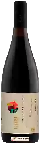 Wijnmakerij Sierra de Toloño - Raposo Villabuena de &Aacutelava Tempranillo