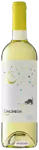 Wijnmakerij Singulares - Luna Creciente Albariño Rías Baixas