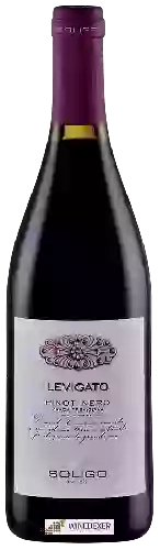 Wijnmakerij Soligo - Levigato Pinot Nero