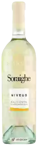 Wijnmakerij Soraighe - Nǐvéus Sauvignon - Garganega