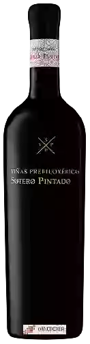 Wijnmakerij Sotero Pintado - Viñas Prefiloxéricas