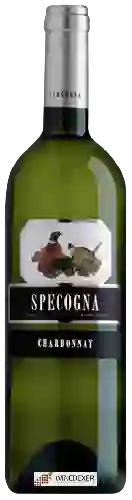 Wijnmakerij Specogna - Chardonnay