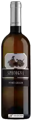 Wijnmakerij Specogna - Pinot Grigio